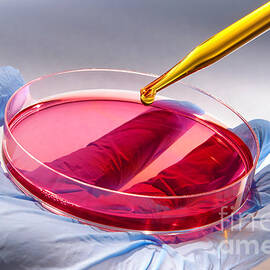 Scientific Experiment in Science Research Lab by Science Research Lab