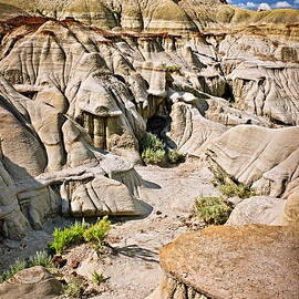 Badlands in Alberta 3 by Elena Elisseeva