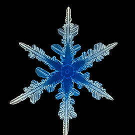 Snowflake Crystal by Science Source