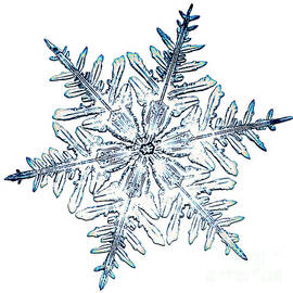 Snowflake by Science Source