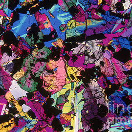 Moon Rock, Transmitted Light Micrograph by Michael W. Davidson - FSU