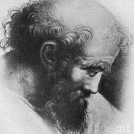 Pythagoras, Greek Mathematician by Science Source