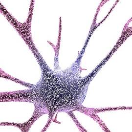 Nerve Cell, Computer Artwork