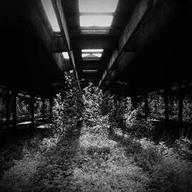 New Jersey by Eli Maier