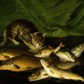 A Cat with Trout Perch and Carp on a Ledge by Stephen Elmer  by Stephen Elmer