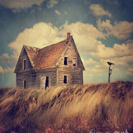Abandoned house in sand dunes by Sandra Cunningham