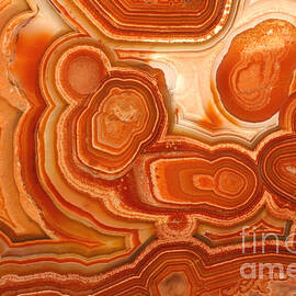 Agate by Ted Kinsman