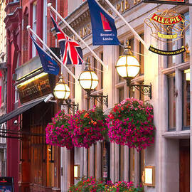 All dressed up for the Olympics.  by Shirley Mitchell