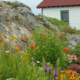 Along the Coast of Maine by Suzanne Gaff