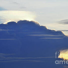 Animal head in sky by Sami Sarkis Photography