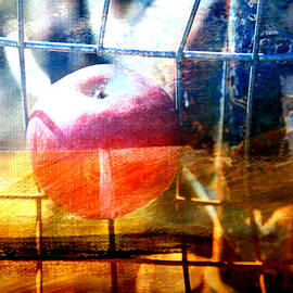 Apple in a basket by Toni Hopper