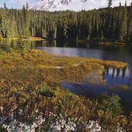 Autumn Colors At Reflection Lake And by Craig Tuttle