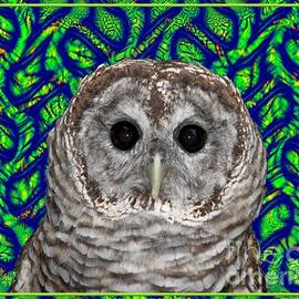 Barred Owl in a Fractal Tree