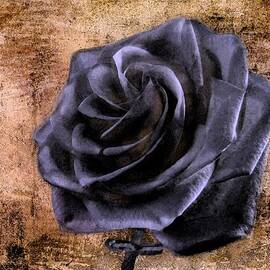 Black Rose Eternal  