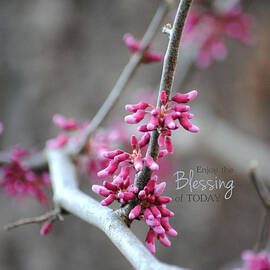 Blessing by Jai Johnson