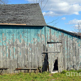 Blue Shed