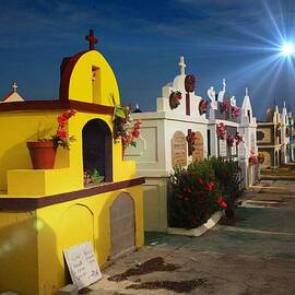 Colorful Cemetery in Aruba