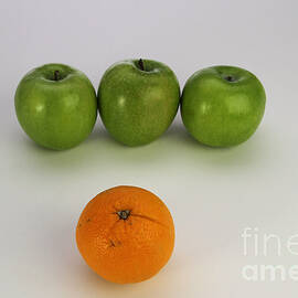 Comparing Apples And Oranges by Photo Researchers, Inc.