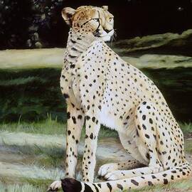 Crowned Regal by Steve Goad