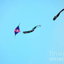 Dogfighting Kites