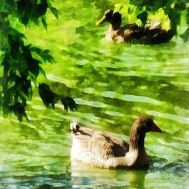 Ducks on a Tranquil Pond by Susan Savad