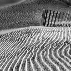 Dune Patterns by Steven Ainsworth