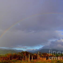 Early Morning Rainbow Over the Pasture