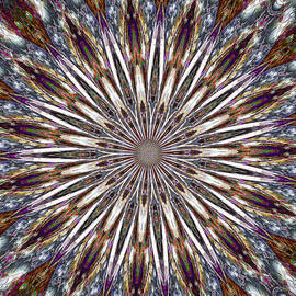 Exploding Feathers by Carolyn Marshall