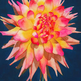 Exploding Lollipop Dahlia by Ken Powers