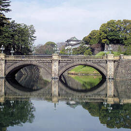 Eyeglass Bridge