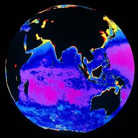 False Colour Image Of The Indian Ocean