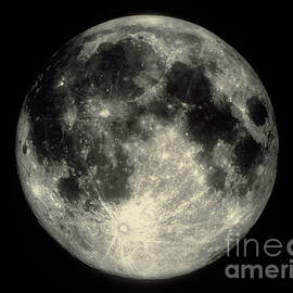 Full Moon by Science Source