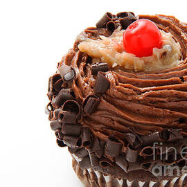 German Chocolate Cupcake 1 by Andee Design