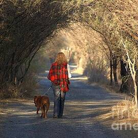 Going For A Walk  The Photograph