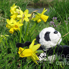 Hello Spring. Ginny from Travelling Pandas Series. by Ausra Huntington nee Paulauskaite