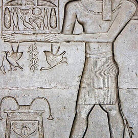 Hieroglyph at Abydos by Darcy Michaelchuk