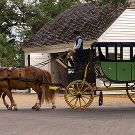 Horse-drawn Carriage by Sally Weigand