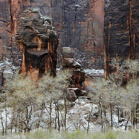 Zion National Park Winter by Bob Christopher