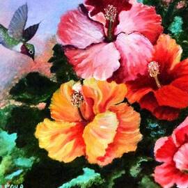 Hummingbirds Love Hybiscus