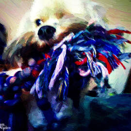 I Got It I Got It by ADAM VANCE