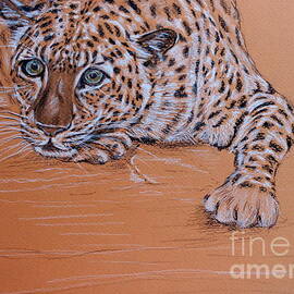 Leopard 1 by Amanda Dinan