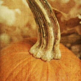 Little pumpkin with leaves by Toni Hopper