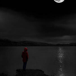 lunatic in red by Meirion Matthias