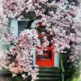 Magnolia by Red Door