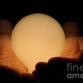 Man with hands cupped around illuminated light bulb by Sami Sarkis Photography