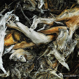Mass Grave by Donna Blackhall