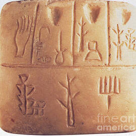 Mesopotamian Accounting Document by Science Source