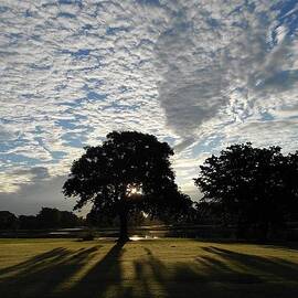 Morning Magic by Sheila Silverstein