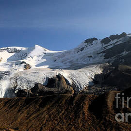 Mount Athabasca From The Columbia Icefields by Vivian Christopher