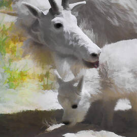 Mountain Goat and Baby  by Elaine Manley